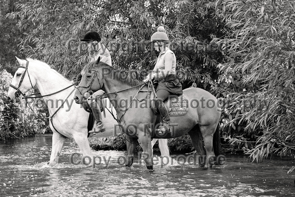 Grove_and_Rufford_Ride_Edwinstowe_13th_July_2024_009