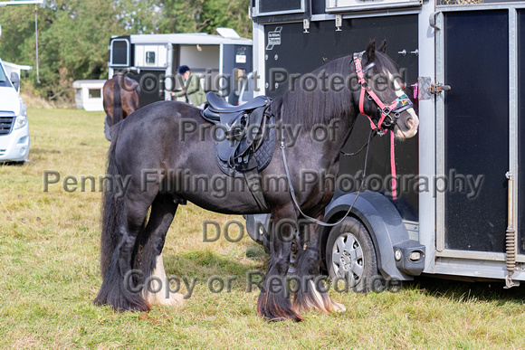 South_Notts_Hound_Exercise_Kennels_31st_Aug_2024_002