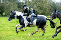 Midlands Riding Club, Knifeton (17th Nov 2024)